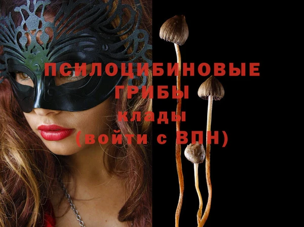apvp Ладушкин