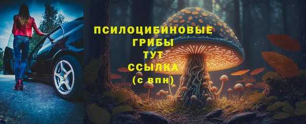 прущая мука Тайга