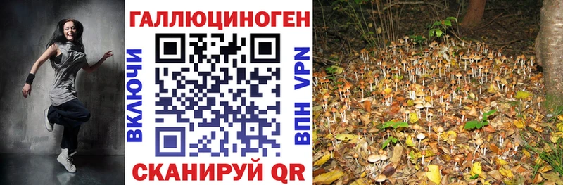 Псилоцибиновые грибы Psilocybine cubensis  Мариинск 