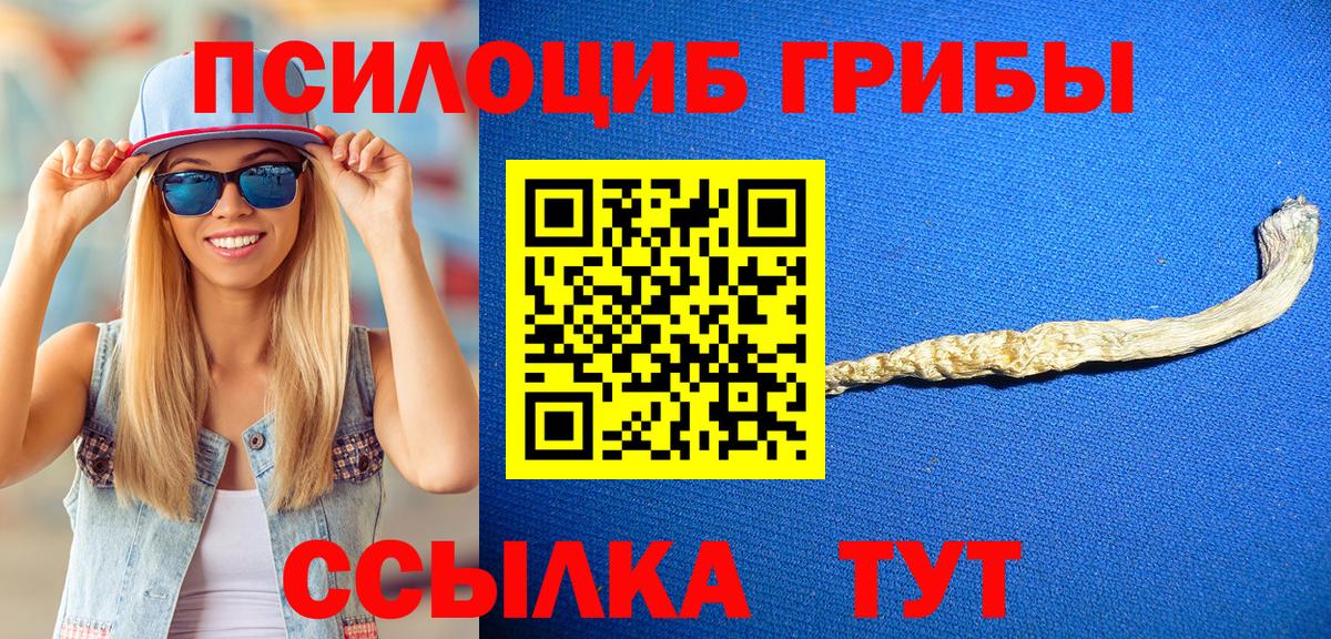 Псилоцибиновые грибы Psilocybe  Галлюциногенные грибы Magic Shrooms  Вход с VPN  Мариинск 