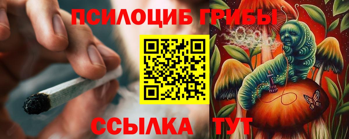 Галлюциногенные грибы Cubensis Мариинск